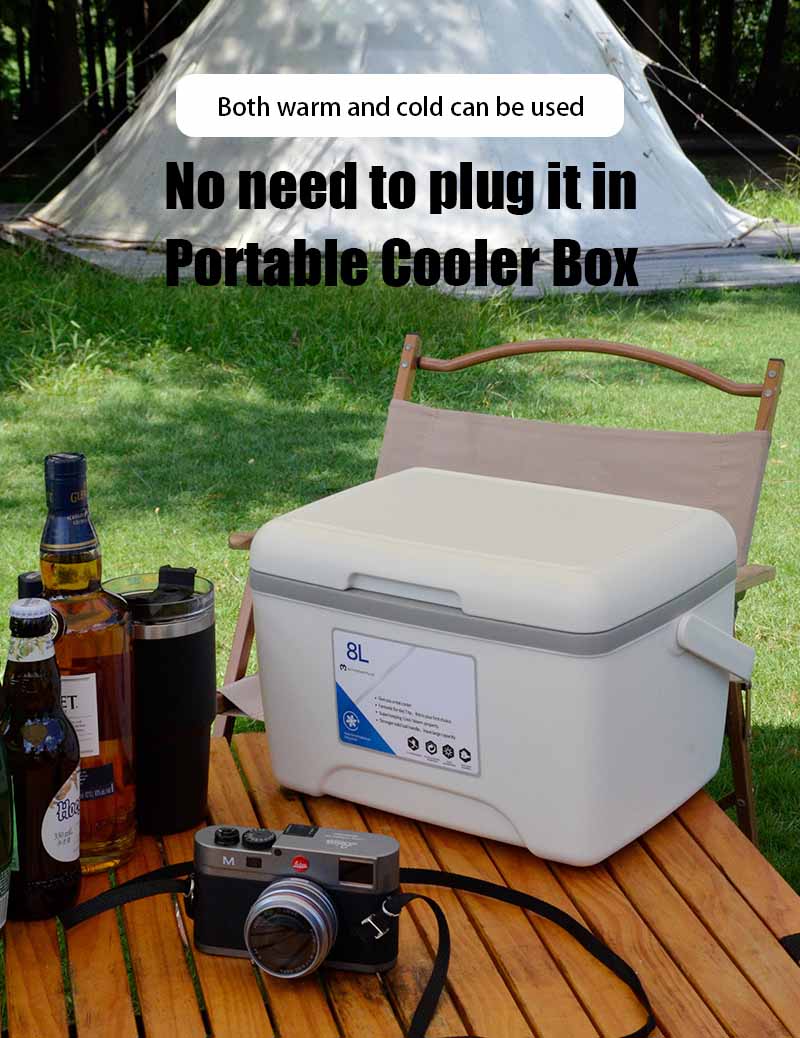Portable Cooler box