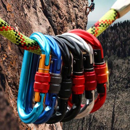 Custom Aluminum Climbing Carabiner 25kN Climbing Gear Gym Carabiner Clips Screwgate Snap Hook 