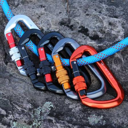Ultra Sturdy Carabiner Clips, Heavy Duty Caribeaners for Camping, Hiking, Outdoor and Gym etc, Small Carabiners for Dog Leash 