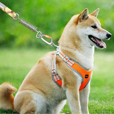 Aluminum Alloy 4KN Spring Carabiner Hook for Dog Leash Hiking Carabiner Wholesale Camping Sling Swivel Carabiner