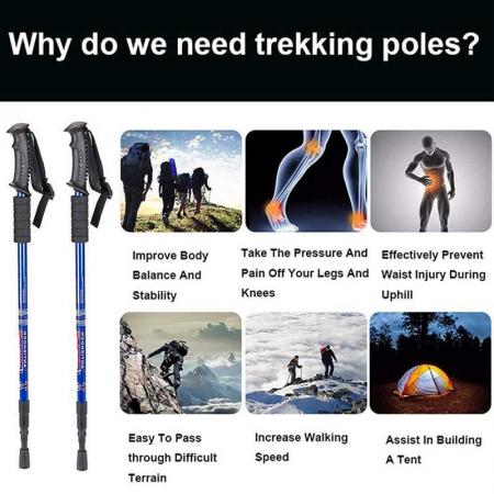 Collapsible Lightweight Trekking Poles with Cork Grips 