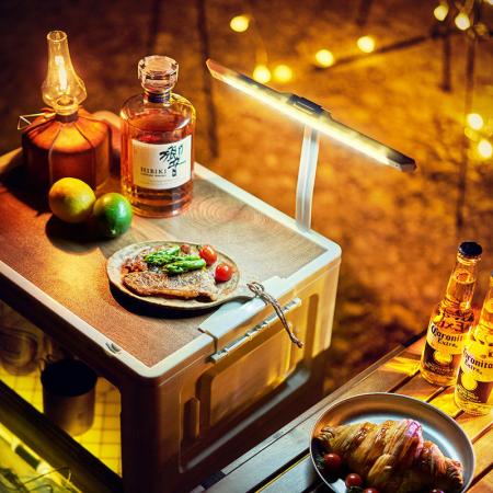 Outdoor Collapsible Storage Box With Wood Lids 