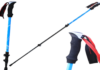 We Ship 100 Pairs of Trekking Poles to Germany