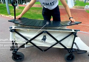 Folding Wagon